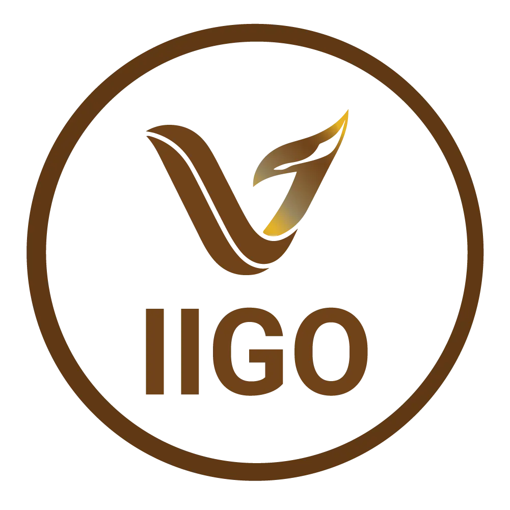 iigo.vn